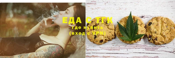 индика Ступино