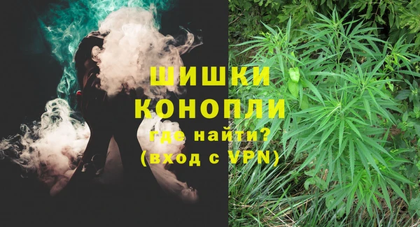 СК Строитель