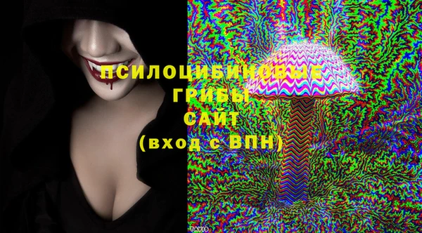 СК Строитель