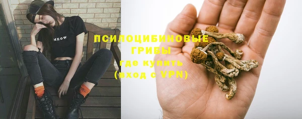 индика Ступино