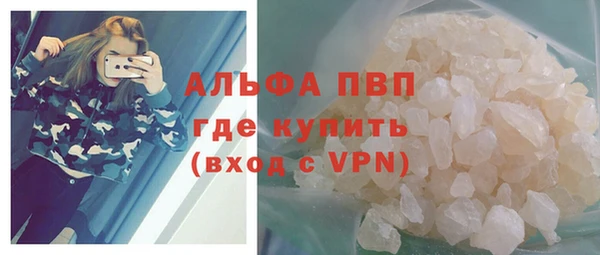 индика Ступино