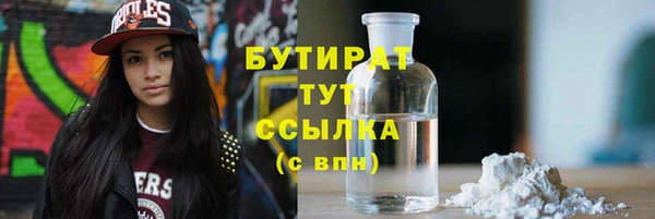 индика Ступино