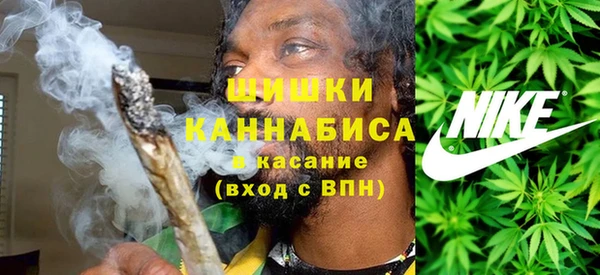 СК Строитель