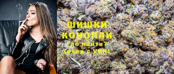 дживик Струнино