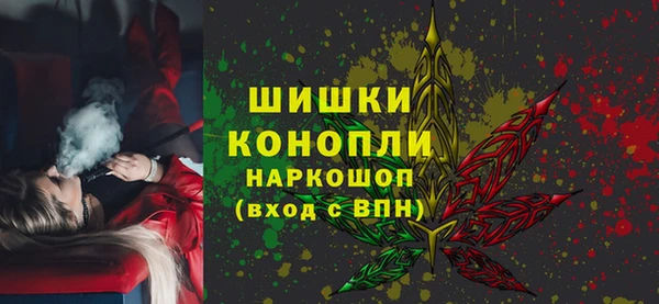 индика Ступино