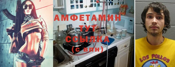 индика Ступино