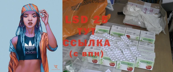 индика Ступино